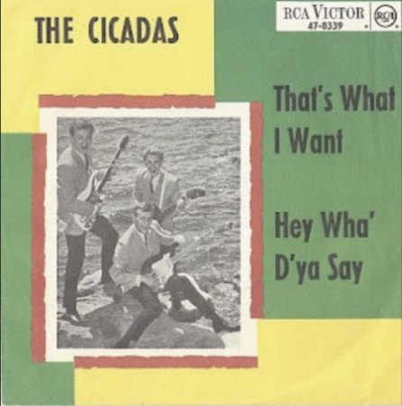 THE CICADAS