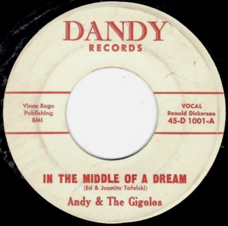 ANDY AND THE GIGOLOS