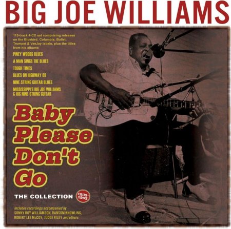 BIG JOE WILLIAMS