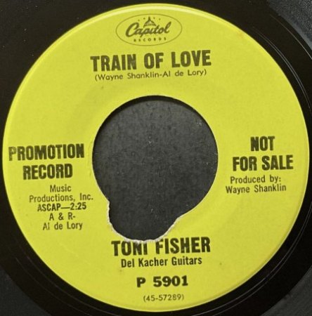 TONI FISHER