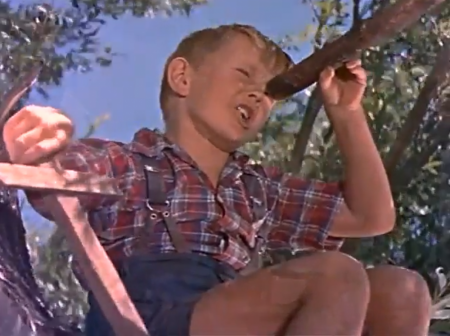 COLIN PETERSEN  (1946 - 2024)