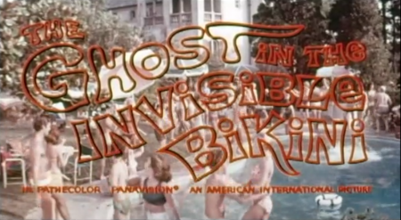 GHOST IN THE INVISIBLE BIKINI