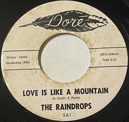 The RAINDROPS aus USA - Sammel-Thread