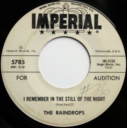 The RAINDROPS aus USA - Sammel-Thread