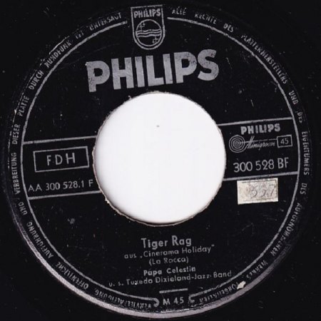 TIGER RAG