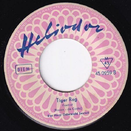 TIGER RAG