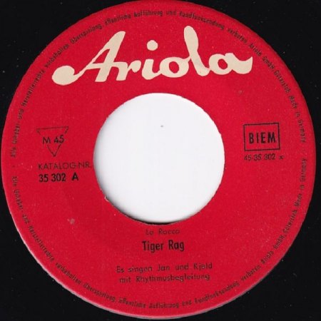 TIGER RAG