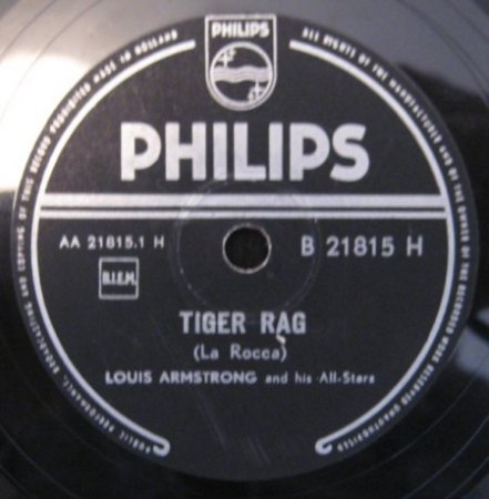 TIGER RAG