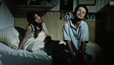 DAVON TRÄUMEN ALLE MÄDCHEN