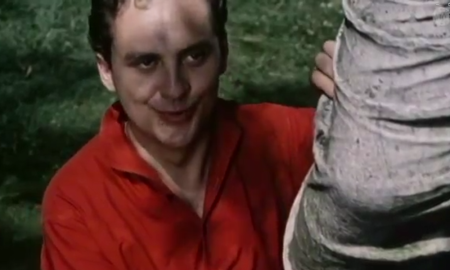 DAVON TRÄUMEN ALLE MÄDCHEN