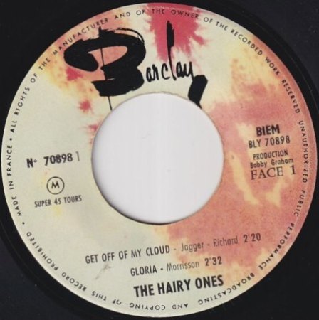 THE HAIRY ONES