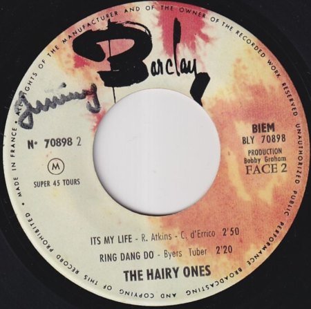 THE HAIRY ONES