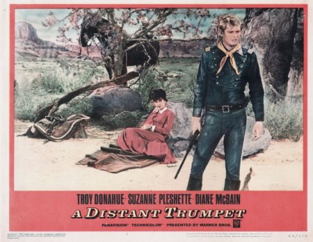 TROY DONAHUE