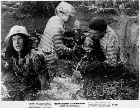 Cottonpickin' Chickenpickers