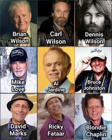 BEACH BOYS -verloren gegangene Beiträge