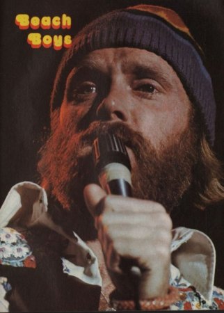 BEACH BOYS -verloren gegangene Beiträge