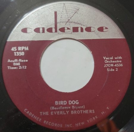 BIRD DOG - original und coverversion