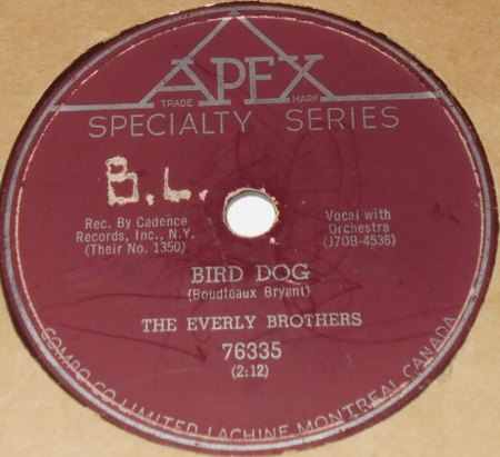 BIRD DOG - original und coverversion