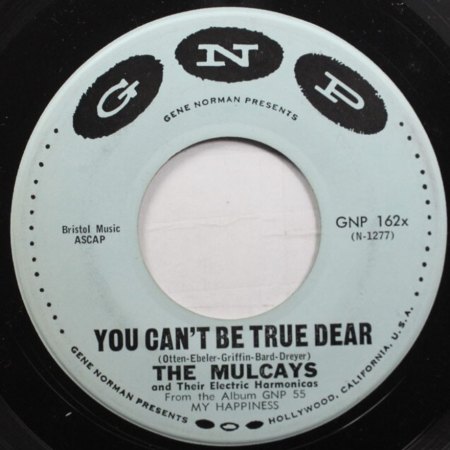 The MULCAYS - Mundharmonika