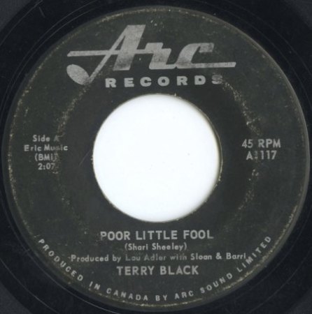 POOR LITTLE FOOL - Original und deutsche Coverversion