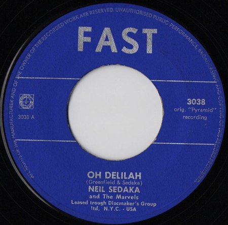 USA- und internationale Veröffentlichungen - Kurz-Bio