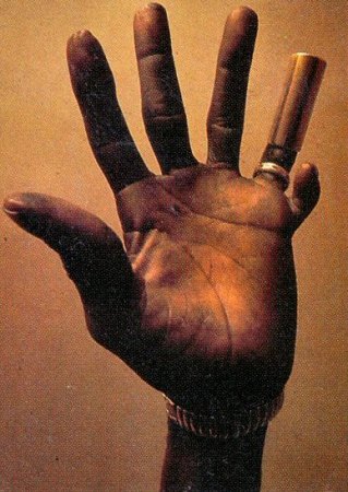 HOUND DOG TAYLOR