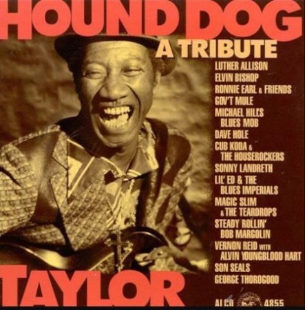 HOUND DOG TAYLOR