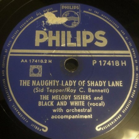 The NAUGHTY LADY OF SHADY LANE