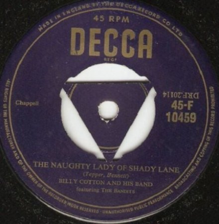 The NAUGHTY LADY OF SHADY LANE