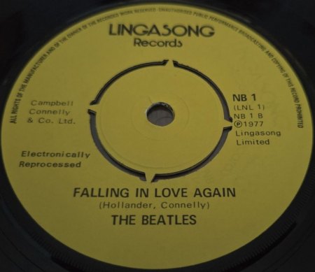 Falling In Love Again (Ich bin von Kopf bis Fuß auf Liebe eingestellt)