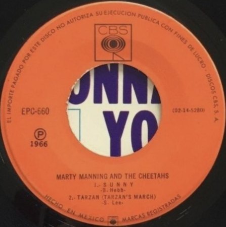 MARTY MANNING