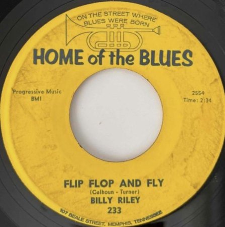 FLIP, FLOP AND FLY