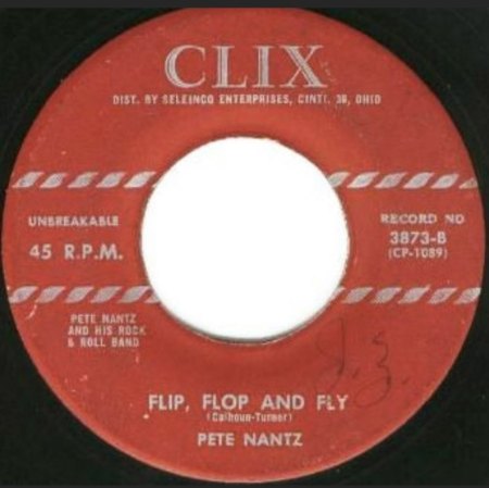 FLIP, FLOP AND FLY