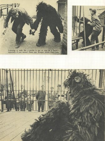 Walker Brothers  (4)_Bildgröße ändern.jpg