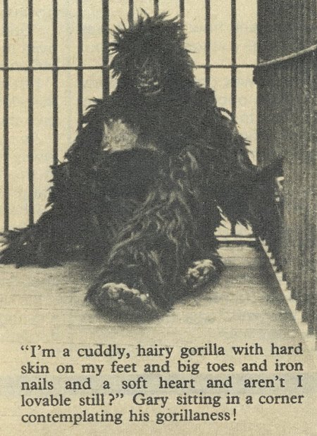 Walker Brothers ----2_Bildgröße ändern.jpg