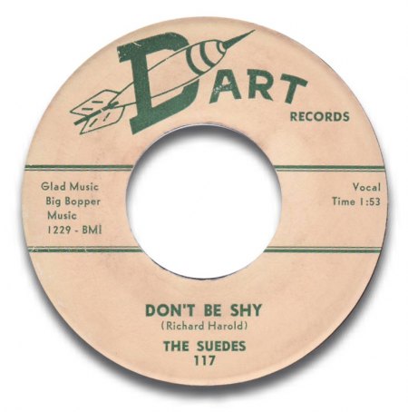 D Art 117 Suedes Don´t Be Shy.jpg