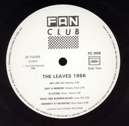 Leaves 7_Bildgröße ändern.jpg