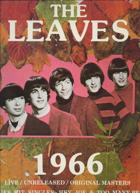 Leaves 6_Bildgröße ändern.jpg