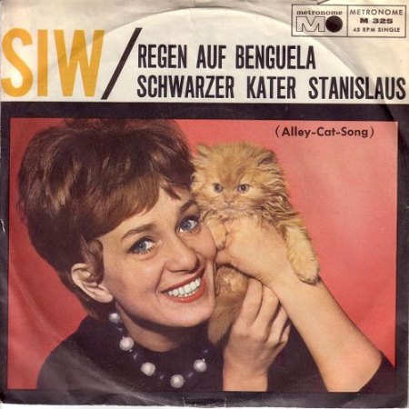 k-Alley cat Hülle.JPG