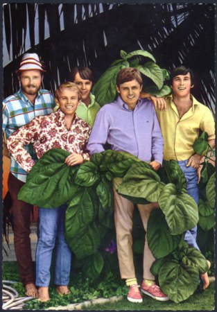 Beach Boys PK 417.jpg