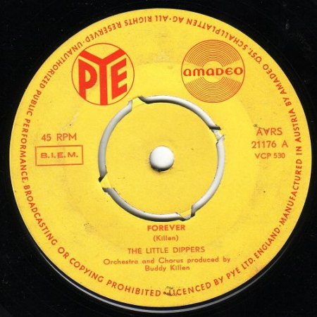 k-dipper 1.JPG