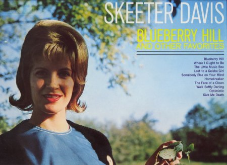 Davis, Skeeter LPs (10)_Bildgröße ändern.jpg