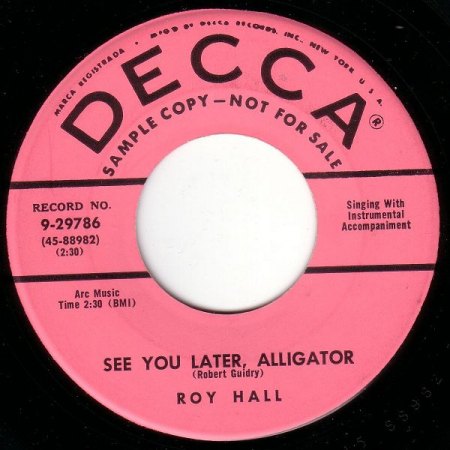k-alligator 2.JPG