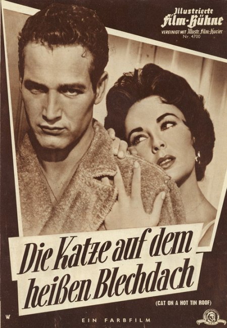 Katze auf dem heissen Blechdach-1_Bildgröße ändern.jpg