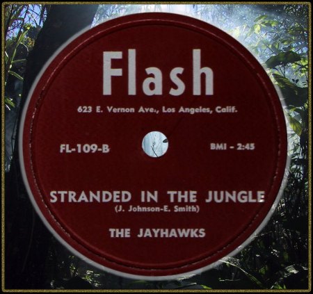 JAYHAWKS - STRANDED IN THE JUNGLE_IC#002.jpg