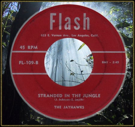 JAYHAWKS - STRANDED IN THE JUNGLE_IC#004.jpg