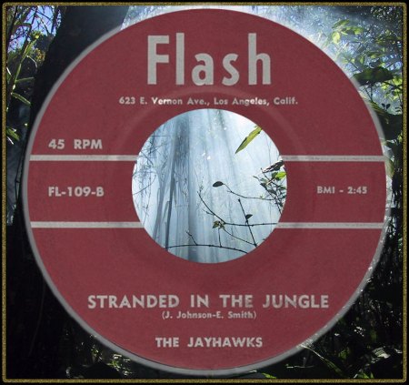 JAYHAWKS - STRANDED IN THE JUNGLE_IC#003.jpg