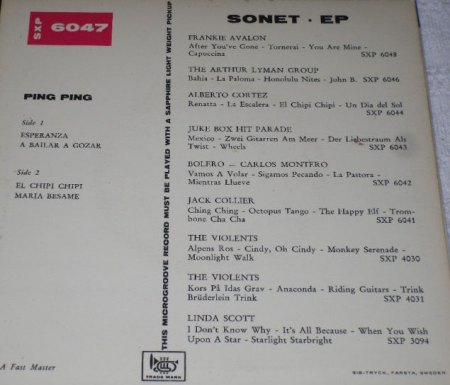 Ping Ping12Sonet EP Rückseite.jpg