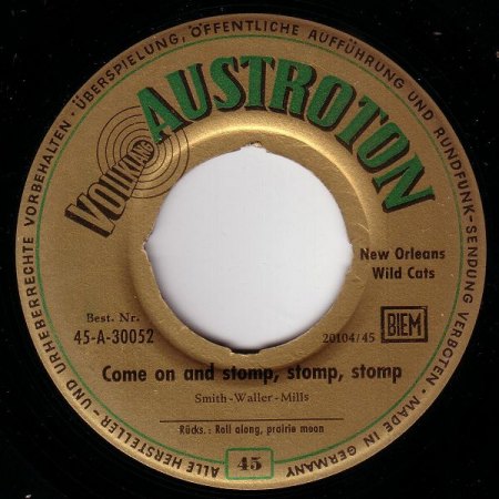 k-AUSTROTON 55.JPG