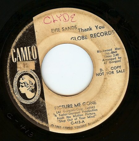 Sands,Evie01Picture Me Gone Cameo C 413.jpg